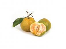 Grne Mandarine / Green Mandarin / Citrus nobilis, 15 ml
