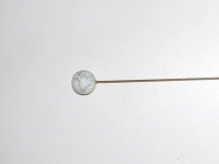 Astrospitze Fisch fr System OSIRIS Mobil